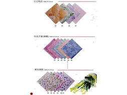 新疆贸易 古丝绸之路上的现代商业枢纽