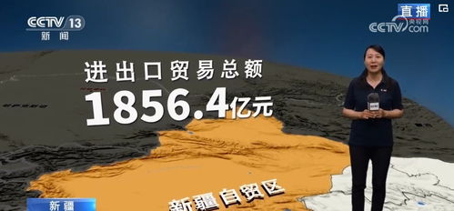 亮点多 朋友多 新疆外贸释放“黄金价值” 外向型经济发展提速