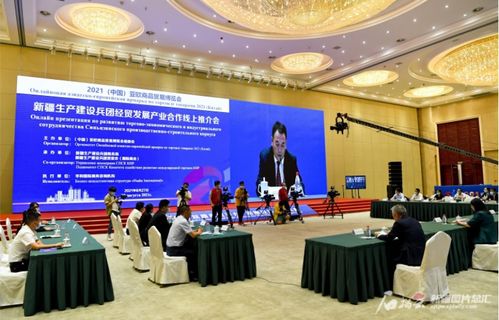 兵团经贸发展产业合作线上推介会召开
