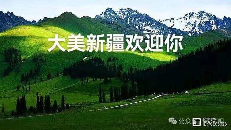 新疆地区基本面观察一带一路上的明珠如何突显优势
